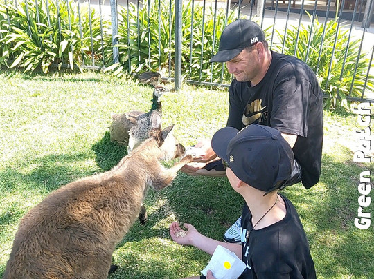 Glen-Forest Tourist Park & Vineyard-Port Lincoln必去景点