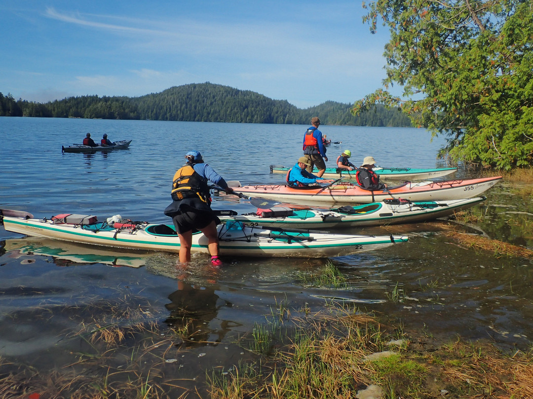 Tofino Sea Kayaking Day Tours-托菲诺必去景点