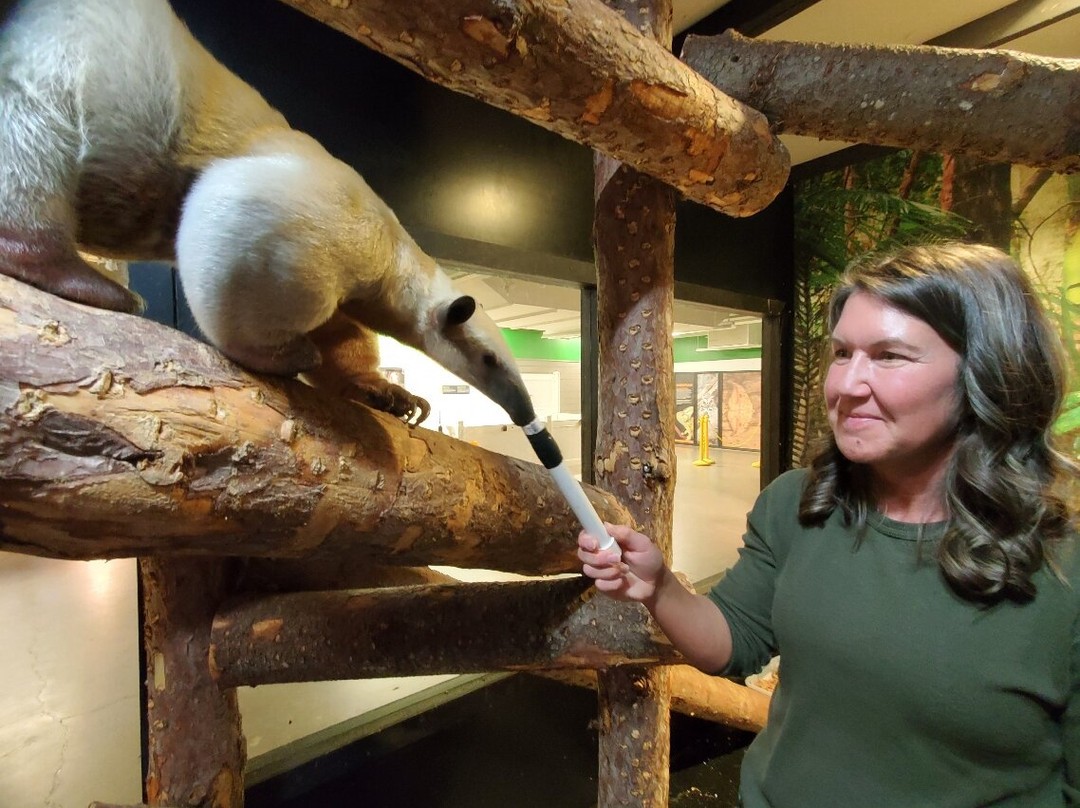 Little Ray's Nature Center-锡拉丘兹必去景点
