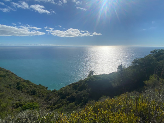 Wild Warrior Yoga-Los Canos de Meca必去景点