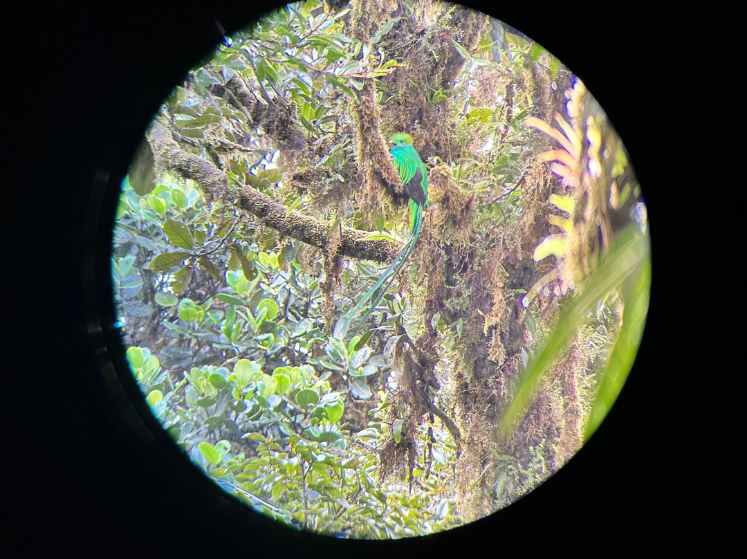 Jacamar Naturalist Tours-利比里亚必去景点