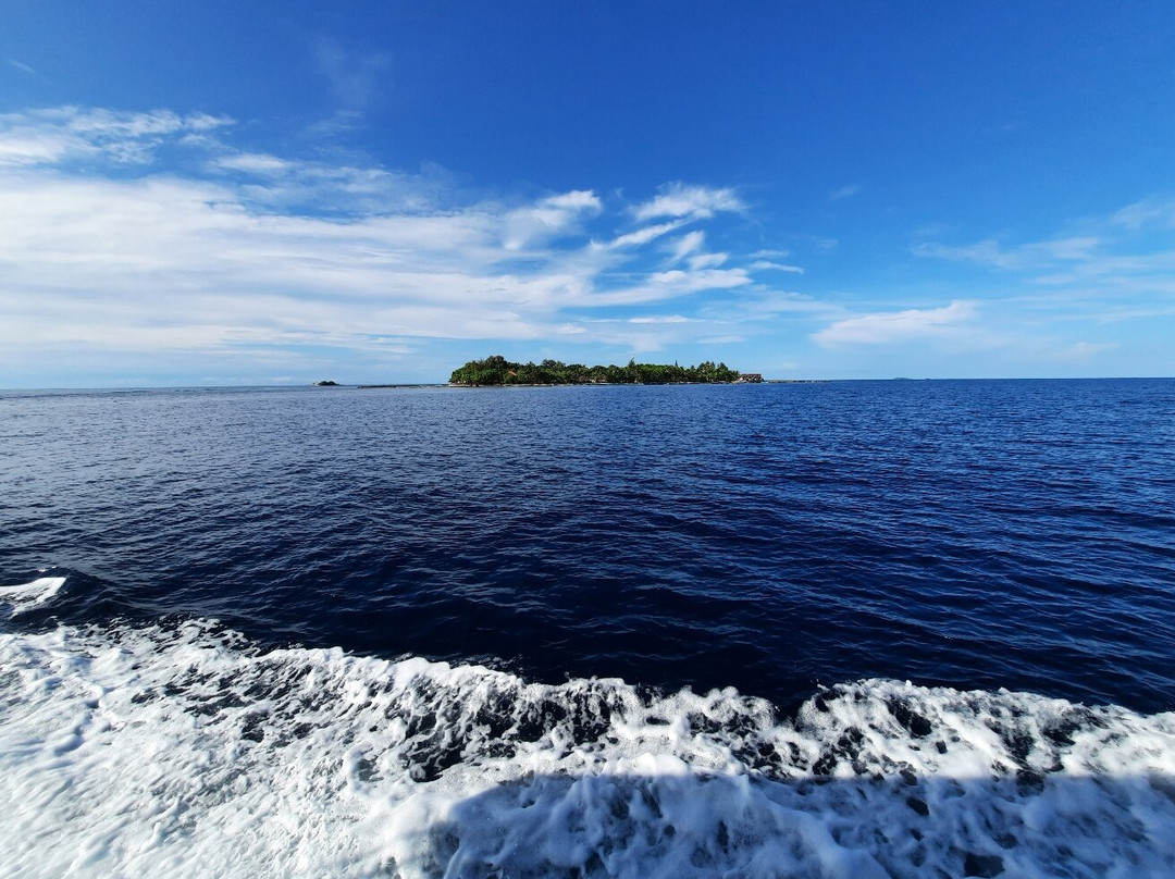 Dive & Sail Ellaidhoo-埃拉胡岛必去景点