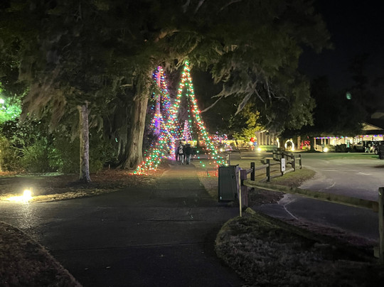 Airlie Gardens-威尔明顿必去景点