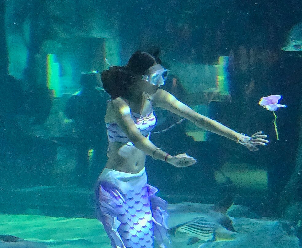 Angkor Wildlife & Aquarium-暹粒必去景点