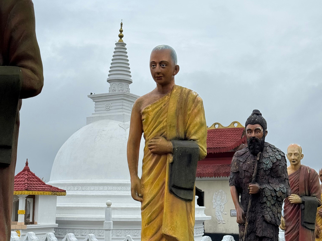 Andrews Eco Tours and Taxi-奴娃拉伊利雅必去景点