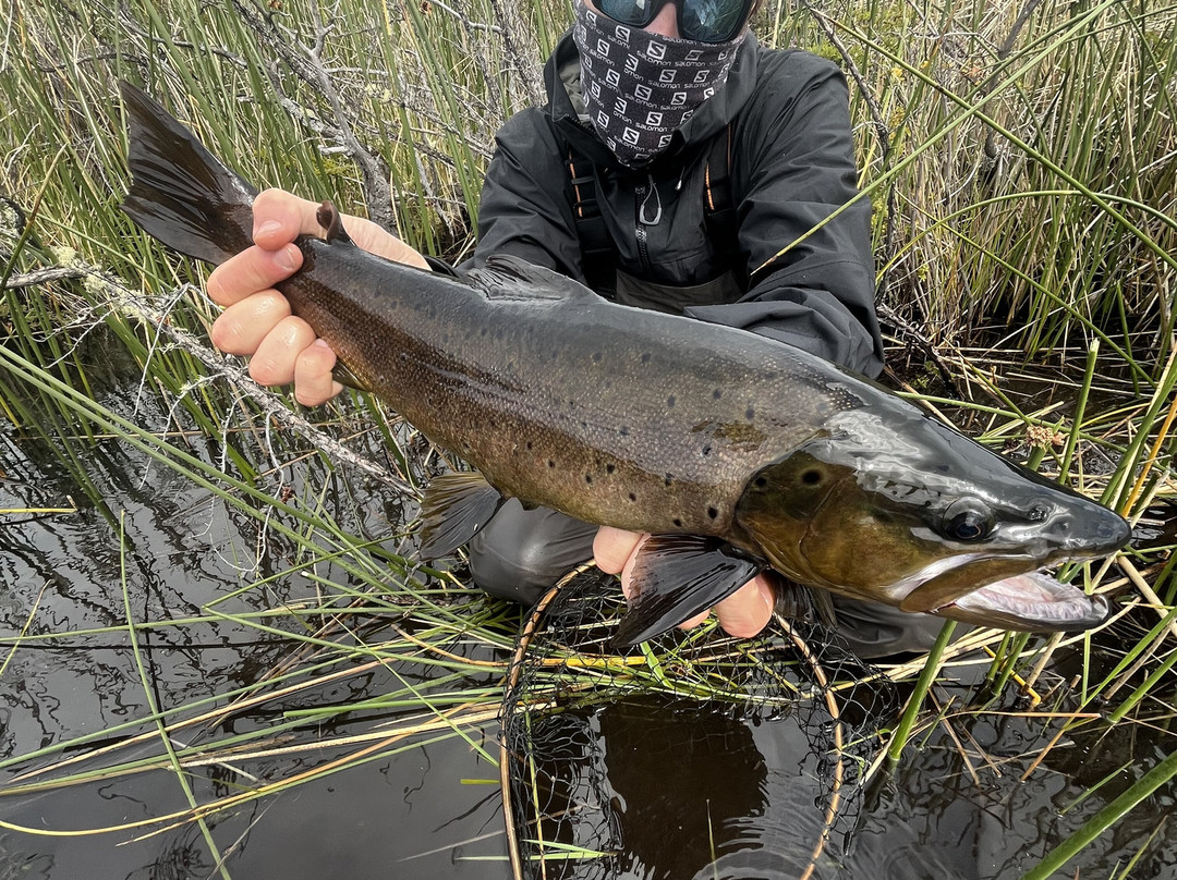 Mosquero Fly Fishing-纳塔莱斯港必去景点
