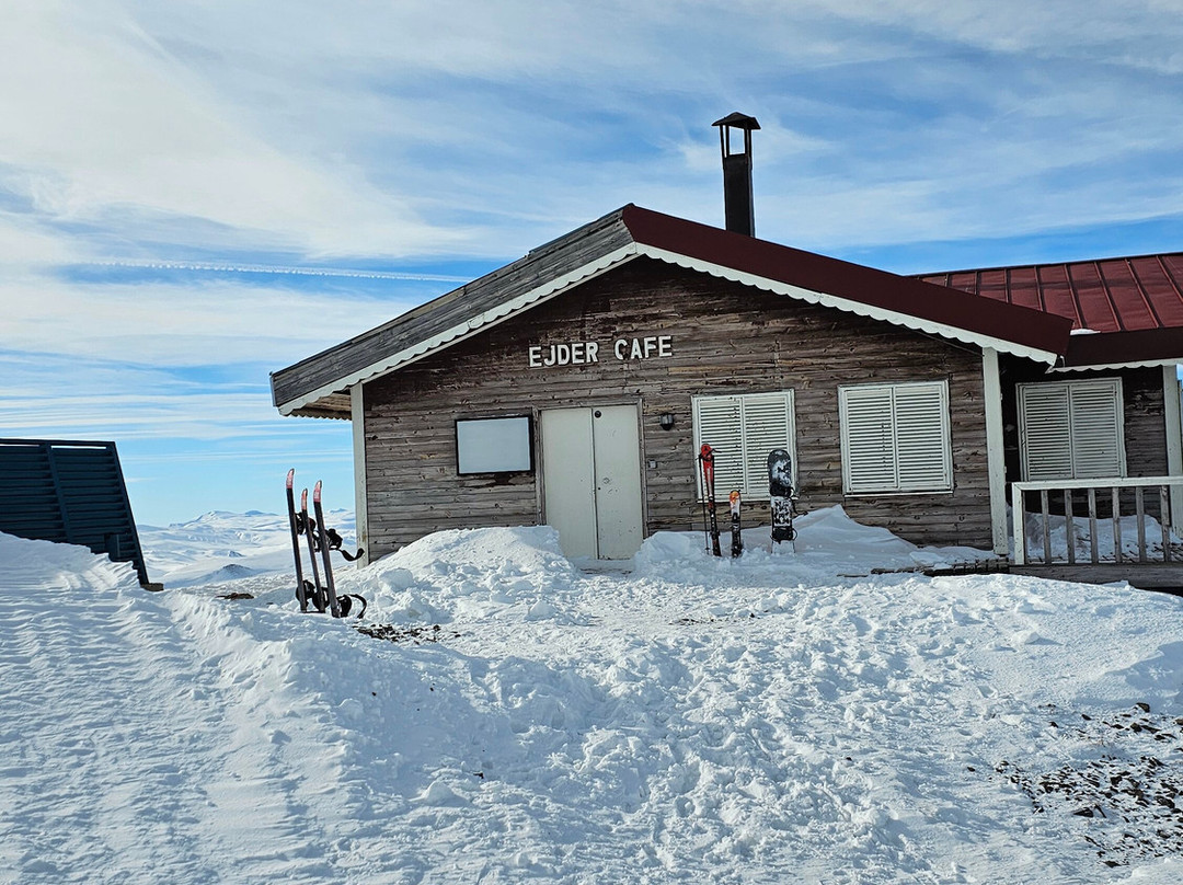 Hilton Garden Inn Erzurum主图