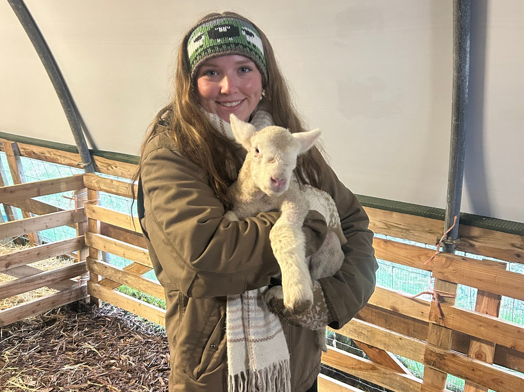 Cullen's Sheep Farm-拉腊必去景点