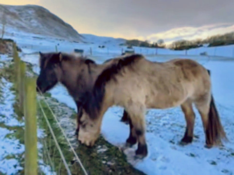 Pentland Hills-爱丁堡必去景点
