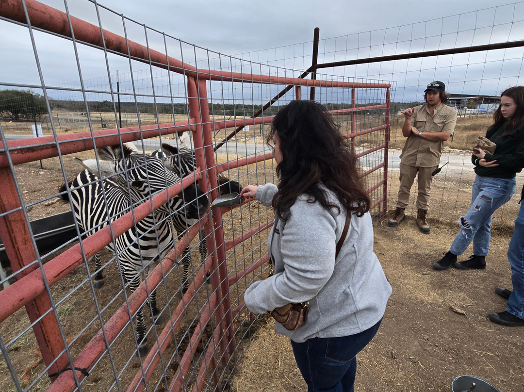 Grapetown Vineyard-弗雷德里克斯堡必去景点