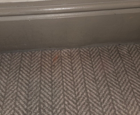 Bowfield Hotel主图