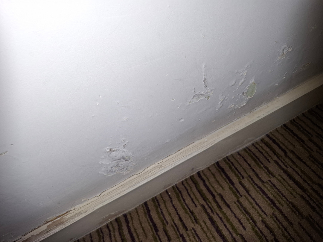 The Dukes Head Hotel主图