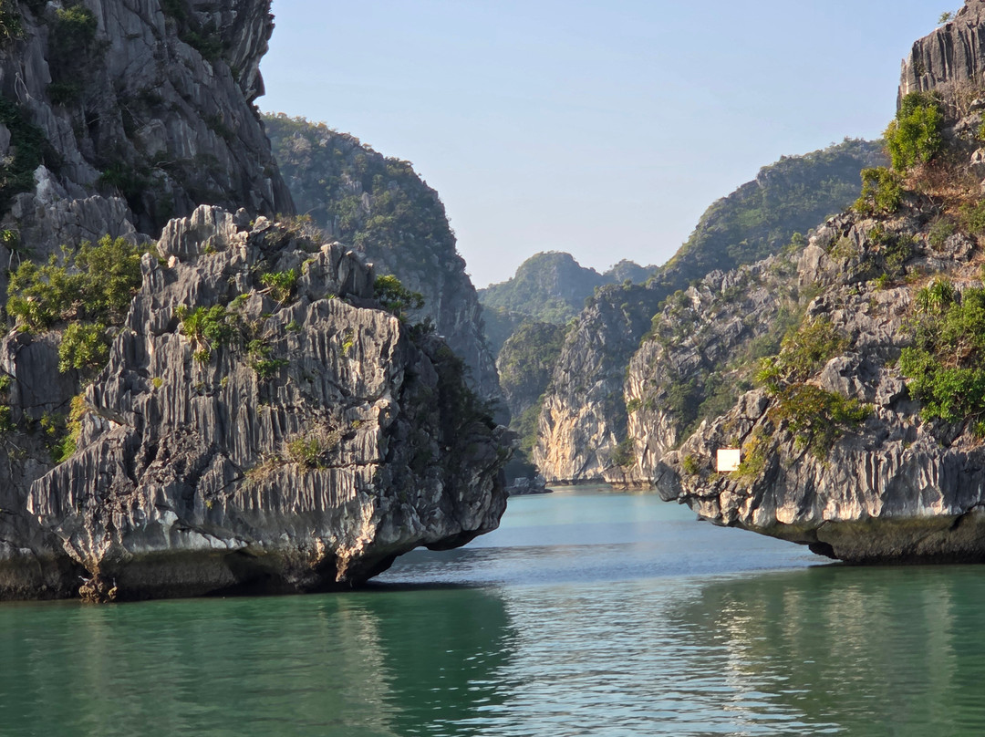 Orchid Cruises-下龙湾必去景点