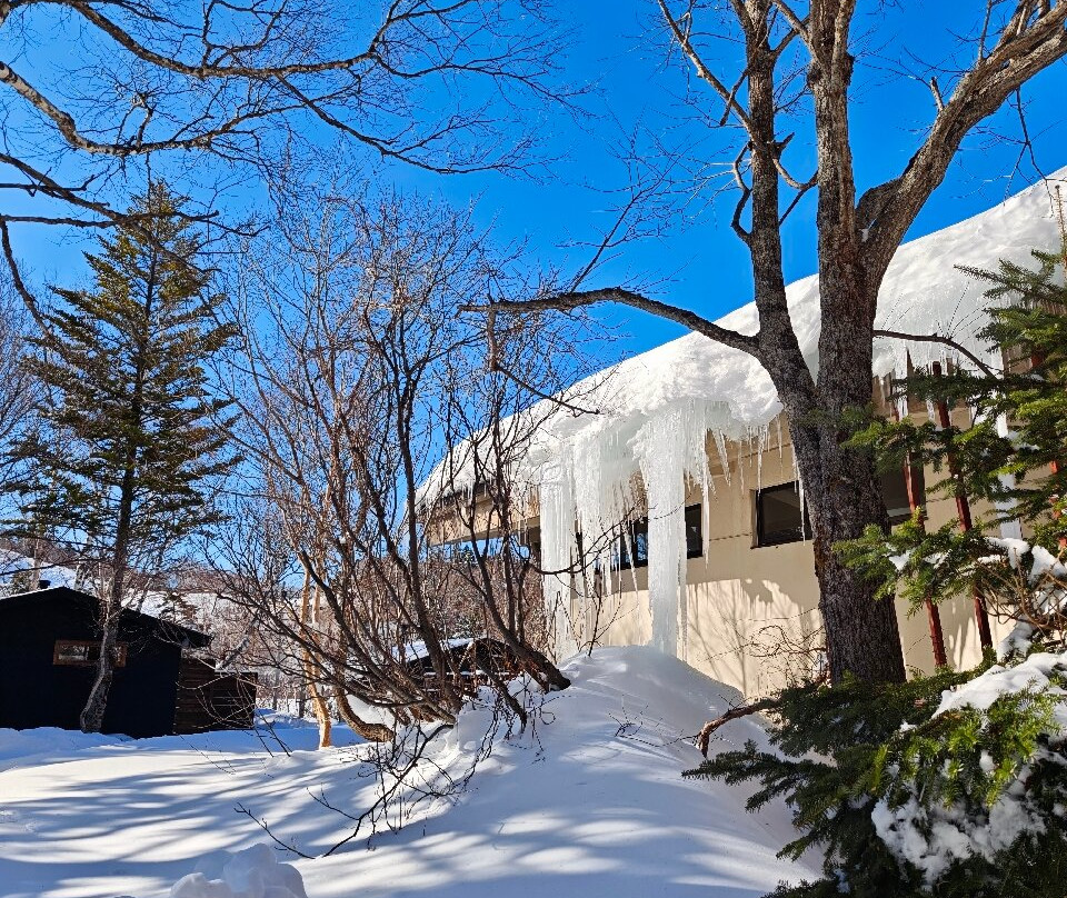Shiga Kogen Ski Resort-山之内町必去景点