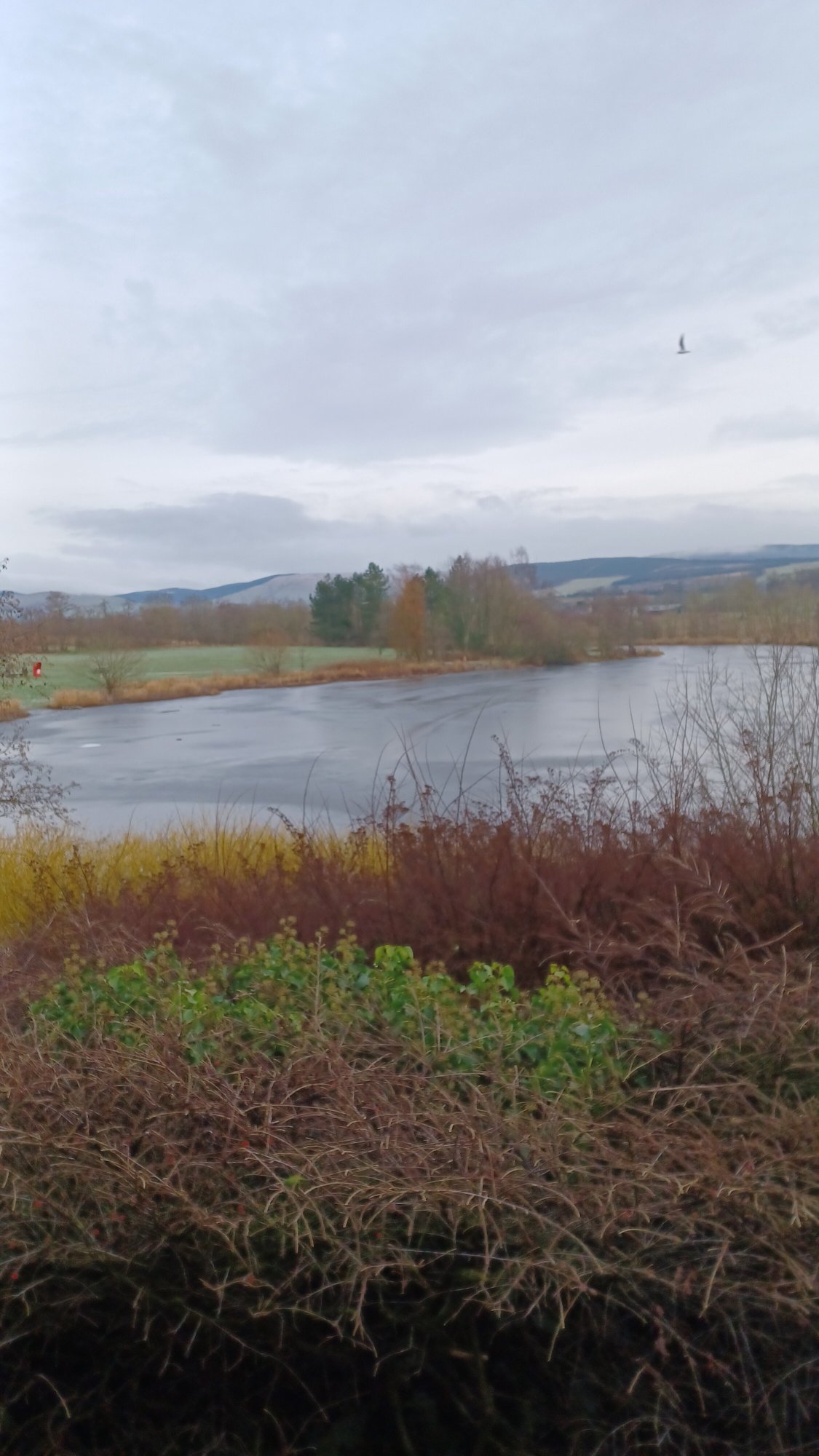 Days Inn by Wyndham Lockerbie Annandale Water-酒店景观