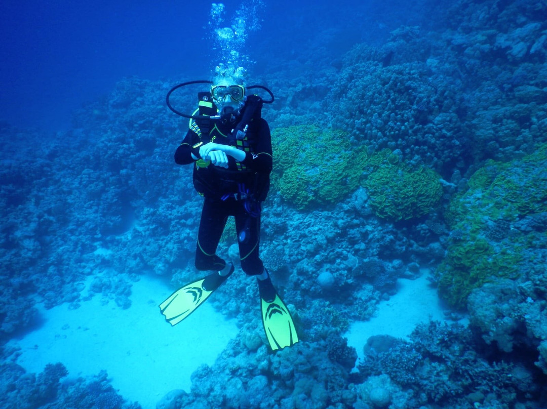 MenaDive-Safaga必去景点