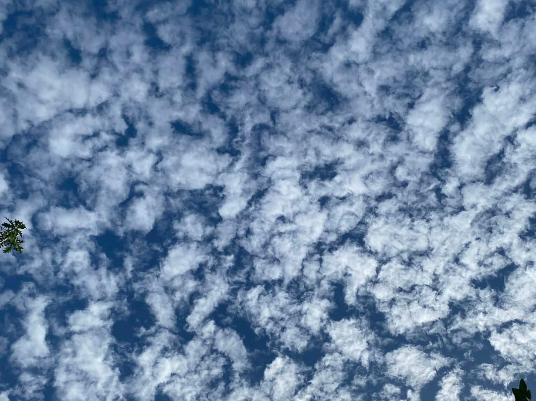 The Hike Collective-珀斯必去景点