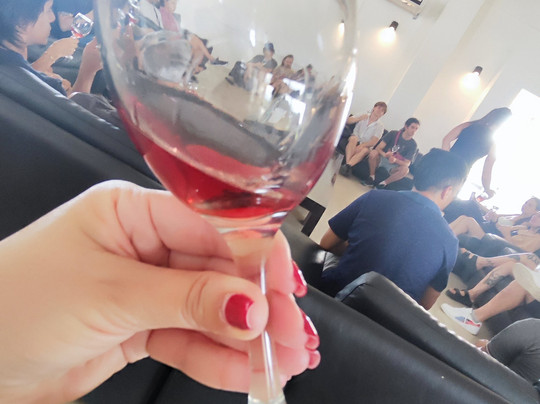 Vistandes Winery-Maipu必去景点