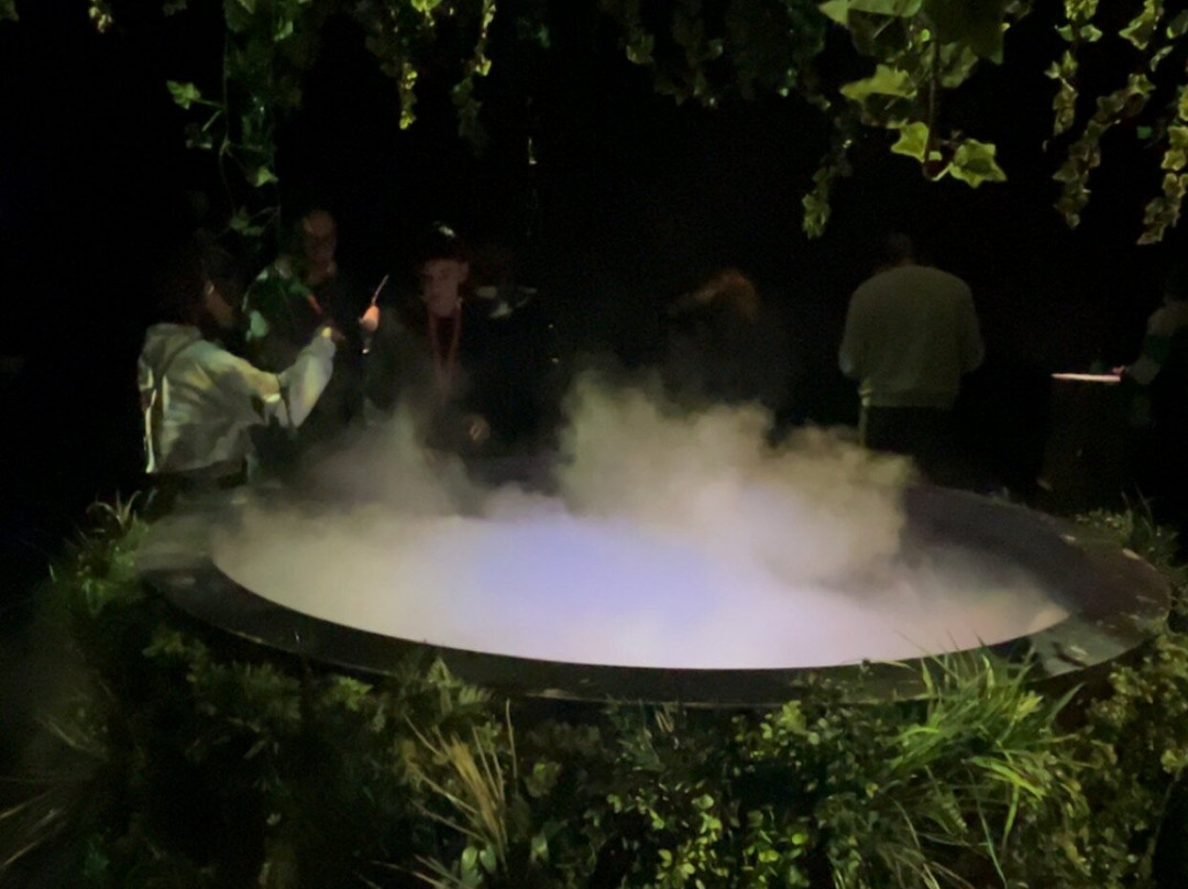 Moir - The Museum Of Infinite Realities-布鲁塞尔必去景点