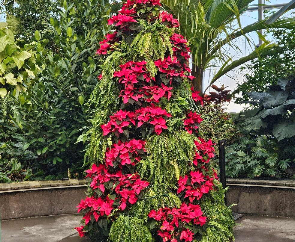 The Leaf-温尼伯必去景点