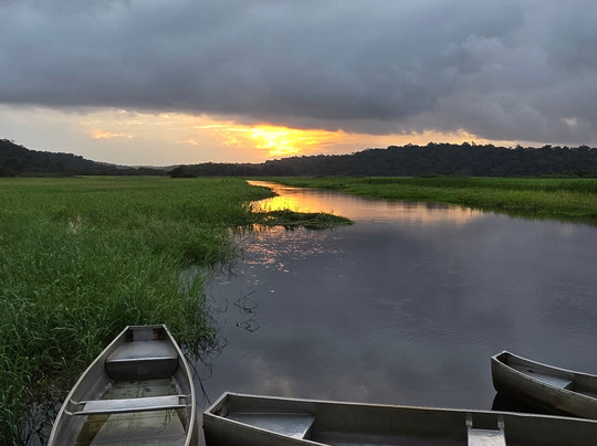 Ecolodge Flottant - Marais de Kaw-Regina必去景点