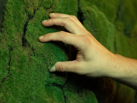 Polsko-Czeskie Interaktywne Muzeum Ziemi Kłodzkiej-Kudowa-Zdroj必去景点