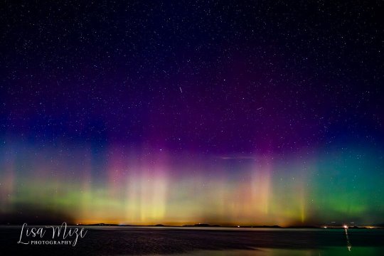 Juan de Fuca Cottages-官方