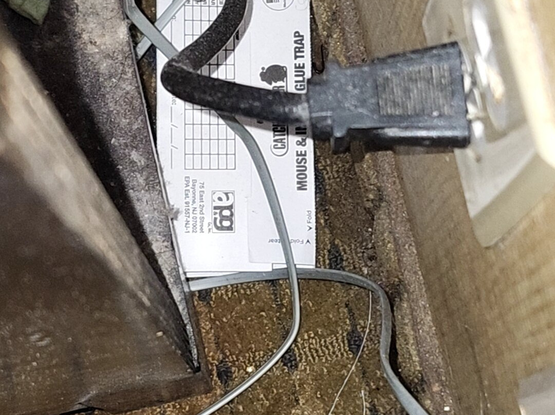 Travelodge by Wyndham Prince Albert主图