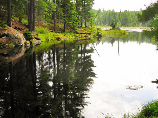 Beaver Pond Trail-阿冈昆公园必去景点