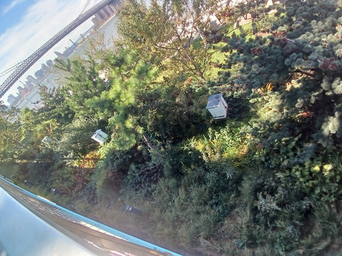 Domino Park-布鲁克林必去景点