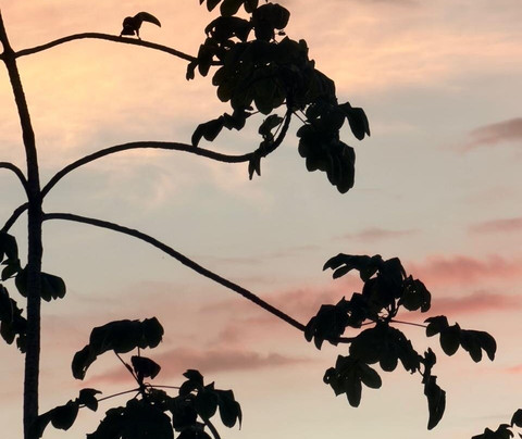 Top Travel Costa Rica-圣何塞必去景点