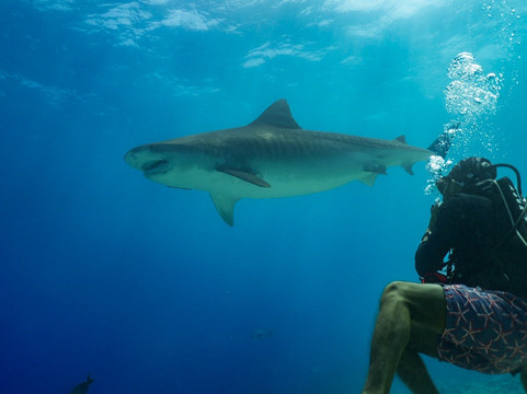 Scuba Butler Fuvahmulah-Fuvahmulah必去景点