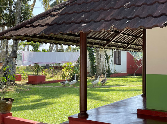 Kurialacherry House主图