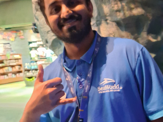 SeaWorld Yas Island Abu Dhabi-阿布扎比必去景点