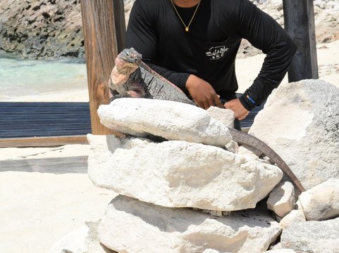 3N's Exuma Vacations-斯丹尼尔岛必去景点