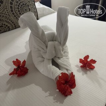 斯里兰卡悦宜湾酒店主图