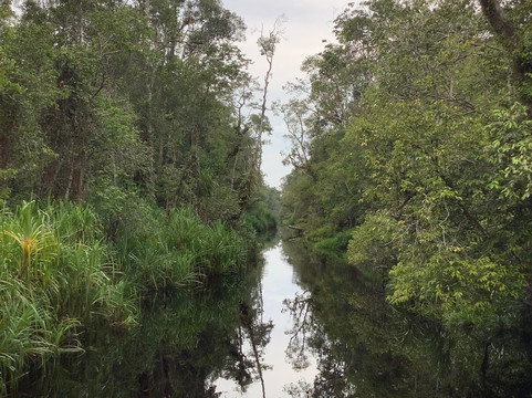 Wow Borneo-帕朗卡拉亚必去景点