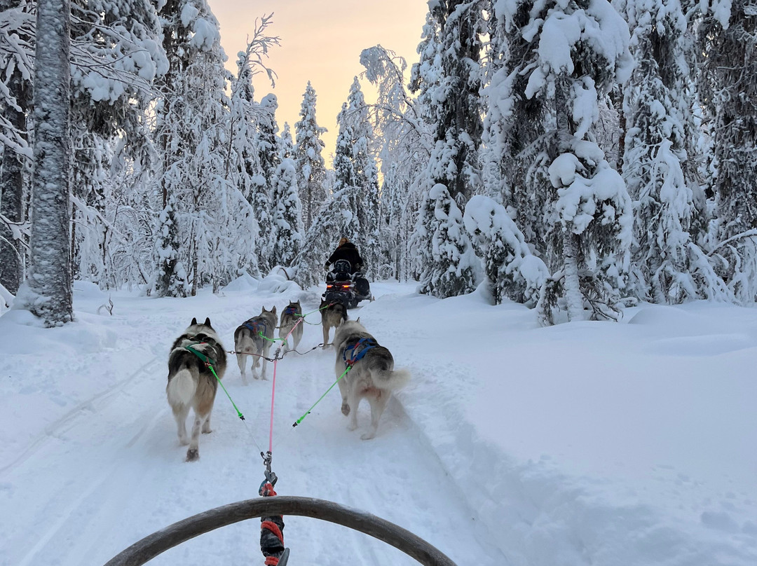 Snowmobile Park Levi-Levi必去景点
