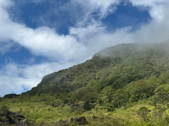 Nipuna Knuckles Trekking-康提必去景点