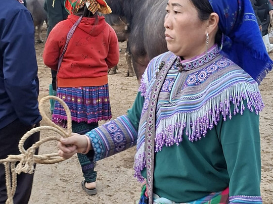 Bac Ha Discovery-Bac Ha必去景点