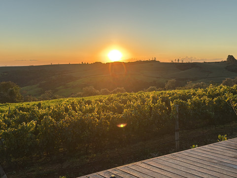 Vinícola Dejota-Pardinho必去景点