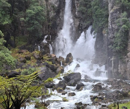 Tarawera Falls-普伦蒂湾大区必去景点