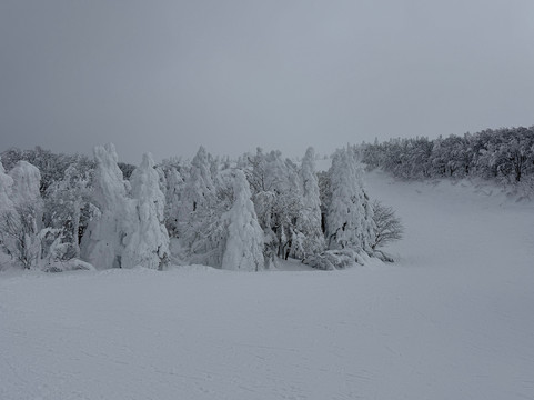 藏王索道-山形市必去景点