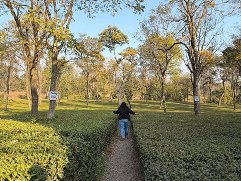 World Travel Experiences-新德里必去景点