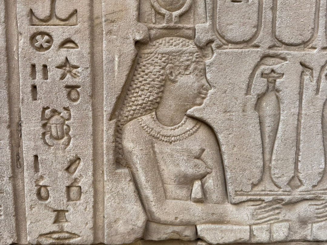 Mena Tour Guide Aswan Luxor-亚斯文必去景点