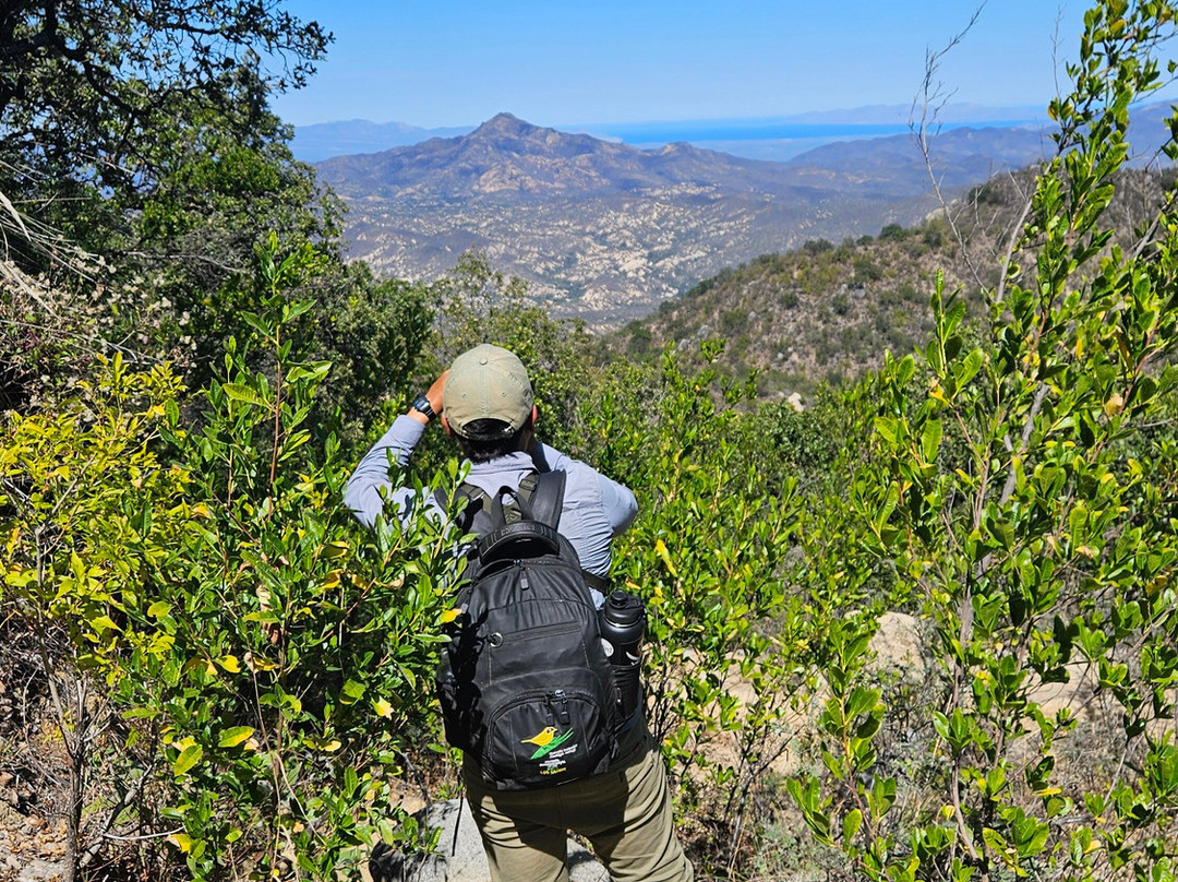 Lugares Pajarosos Birding Expeditions-拉巴斯必去景点