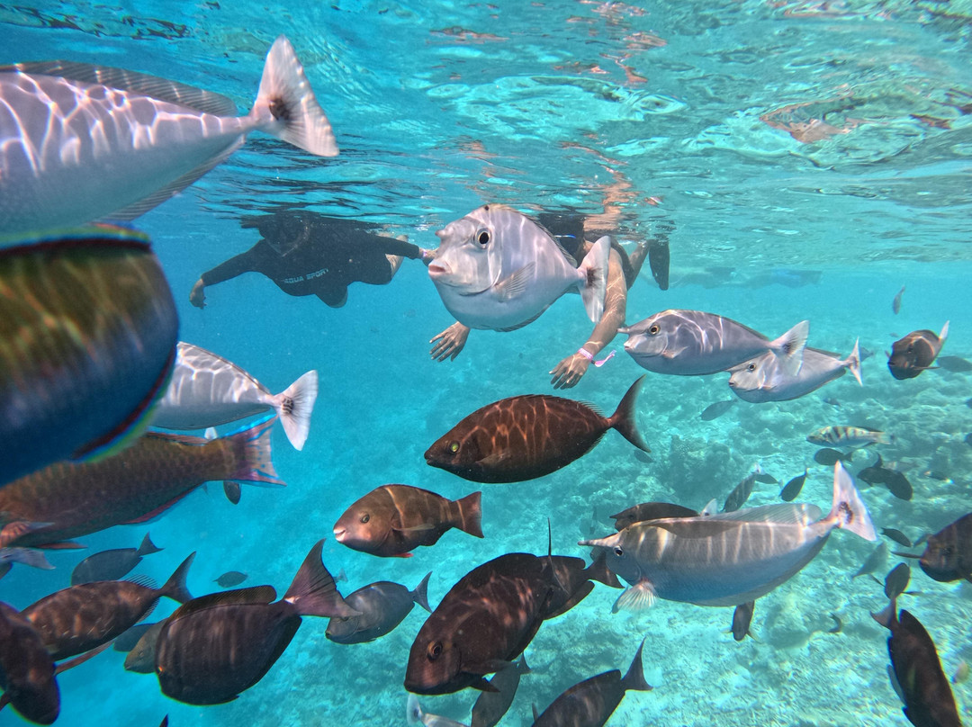 iCom Tours-马富士岛必去景点