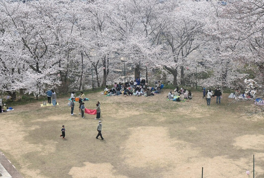 Handayama Botany-冈山市必去景点