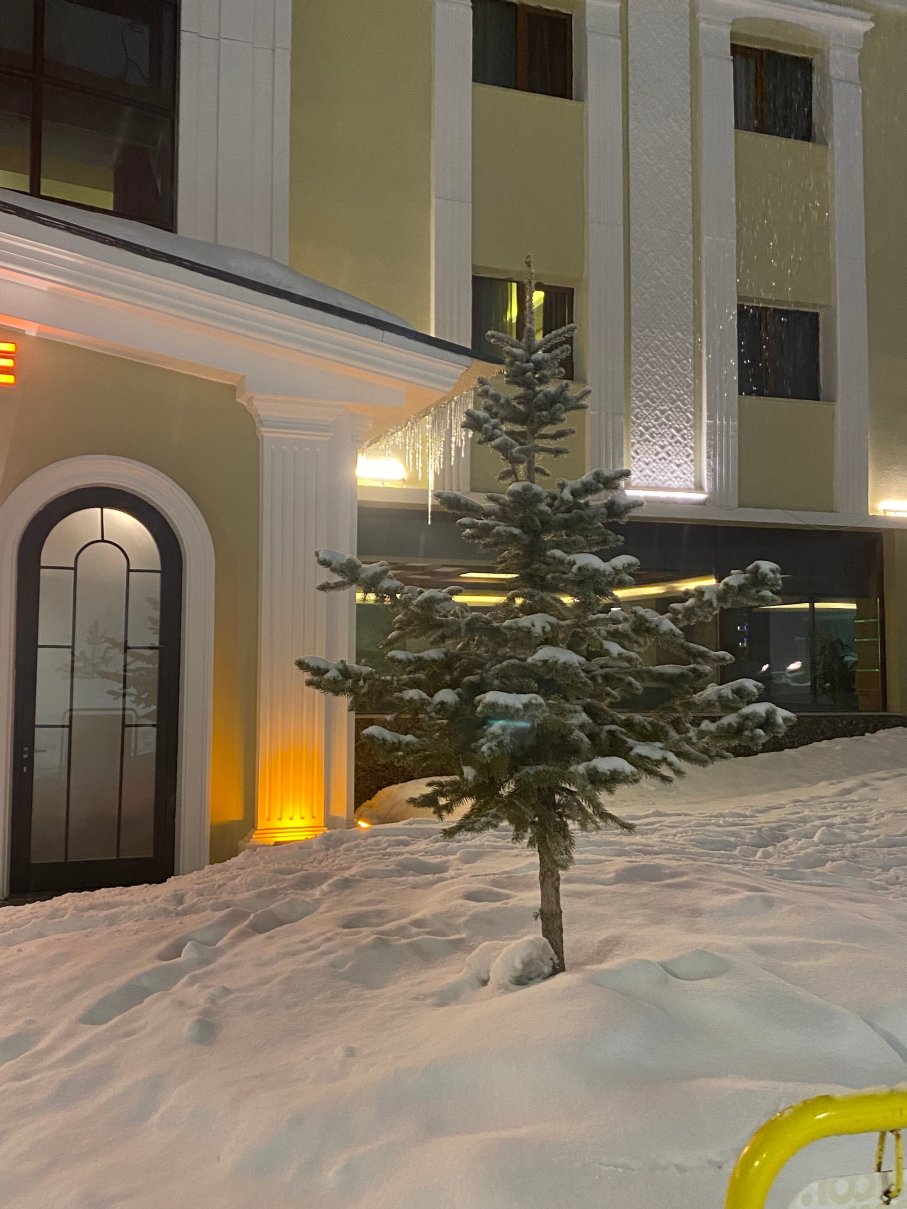 萨勒卡默什雪花山酒店-官方