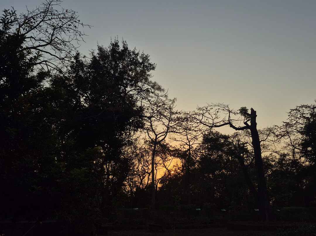 Soul Travelling-巴拿吉必去景点